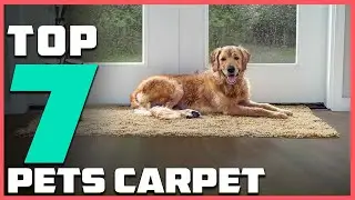 Pet-Approved Carpets: The 7 Best Choices for Your Furry Family