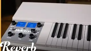 Mellotron M4000D Mini | Reverb Demo Video