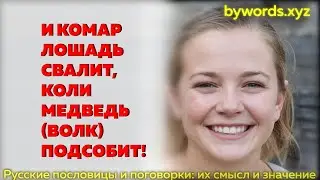 И КОМАР ЛОШАДЬ СВАЛИТ, КОЛИ МЕДВЕДЬ (ВОЛК) ПОДСОБИТ: смысл и значение