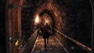 Dark Souls 2 Remastered: 2024 Gameplay Walkthrough Ep. 9 The End?!? DS2 HDR10