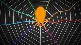 Spiders Tune Their Webs Like A Guitar | SKUNK BEAR