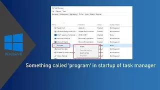 What is “Program” in Task Manager Startup Tab