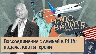 Протесты в Грузии: стоит ли бежать в США, сроки и квоты по воссоединению с семьей, ускорение виз F1