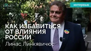 "Единство оппозиции — клей для страны"  Экс-министр иностранных дел Литвы