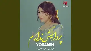 پروایش ندارم