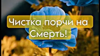 чистка порчи на СМЕРТЬ