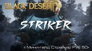 Мини-гайд: Страйкер PVE 50+