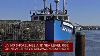 Living Shorelines and Sea Level Rise on New Jersey’s Delaware Bayshore