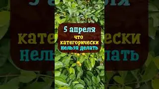 5 апреля народный праздник Никонов день. Что нельзя делать. Народные приметы и суеверия