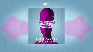 DITVAK, Emie, VILNYY - Everything You Wanna