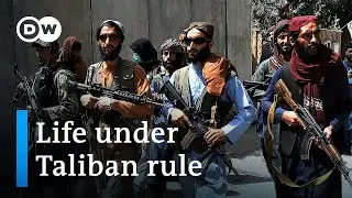 How has life in Afghanistan changed since the Taliban took over? | DW News