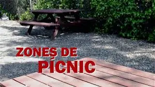 Zones de pícnic al SAF! Servei d'Activitat Física, UAB