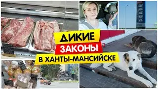 VLOG: ДИКИЕ ЗАКОНЫ в Ханты-Мансийске / Цены на мясо в Ханты-Мансийске / Vika Siberia/LifeVlog