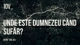 Iov / Unde este Dumnezeu când sufăr ? / Teofil Cotrău