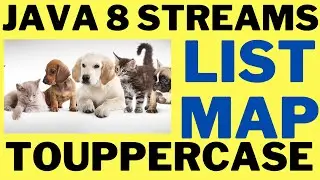 JAVA 8 STREAMS CONVERT A LIST OF STRINGS TO UPPERCASE | EXAMPLE JAVA CODE DEMO | InterviewDOT