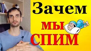 Почему человек спит. Сон человека - зачем нужно спать