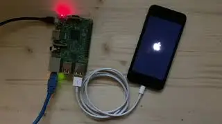 checkra1n on Raspberry PI