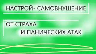 Настрой-самовнушение От страха и панических атак  Для мужчин По мотивам настроев Сытина Г.Н.