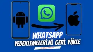 WhatsApp Yedeklemesini Geri Yüklemenin En Kolay Yolu [Google Drive'dan/iCloud'dan/Cihaz'dan]