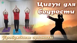 ЦИГУН для БОДРОСТИ | Пробуждаем Организм