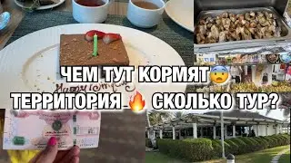 ЧЕМ КОРМЯТ В ОТЕЛЯХ ЭМИРАТОВ! НАШ ОТПУСК! СКОЛЬКО СТОИЛ ТУР!  Будни Мамы Влог