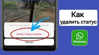 Как удалить статус из WhatsApp (2024) |  Новое обновление