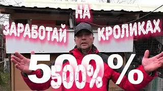 РАЗВЕДЕНИЕ КРОЛИКОВ 🐇прибыль % 🤦‍♂️ЛИЧНЫЙ ОПЫТ Кролики содержание и разведение