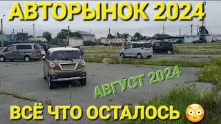 АВТОРЫНОК В ШОКЕ, АВГУСТ ЦЕНЫ ВИДЕО СЕГОДНЯ, АВТОРЫНОК НАХОДКА