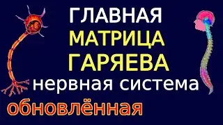 Самая Главная Медитация исцеления по Гаряеву. Начало