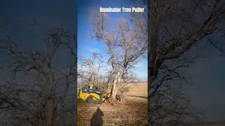 Dominator Tree Puller in Action!