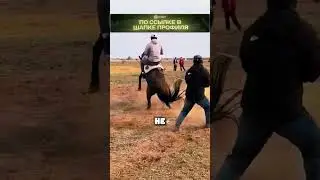 Оседлали бы такую лошадь? 🏇