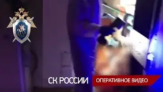 В Ульяновской области возбуждено уголовное дело по факту убийства семьи с малолетними детьми