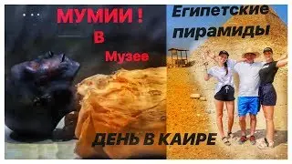 VLOG Египетские пирамиды. МУМИИ в музее.