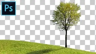 How to Cut Out a Tree in Photoshop - Fast & Easy Tutorial