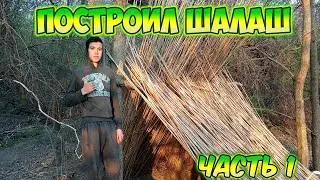 СТРОИМ ШАЛАШ В ЛЕСУ!