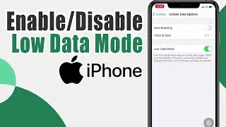 How to Turn On/Off Low Data Mode for Cellular Data on iPhone