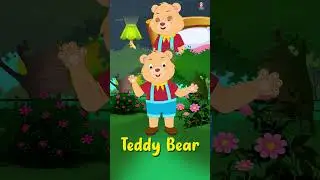 Teddy 