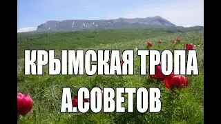 Крымская Тропа 2019. Александр Советов. 17.03.19. Лекторий Зарядье.