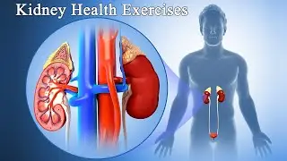 05 Tai Chi Exercises For Kidney Health  |  Taichi Zidong