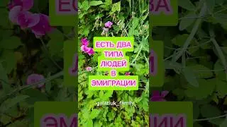 Люди в Эмиграции Вы какой тип? #shorts #миграциявсша #galatiukfamily