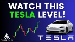 Tesla Stock Price Analysis | Top Levels To Watch for Monday, August 19th 2024