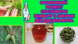 ДОМАШНЯ МЕДИЦИНА, ВІДВАР З СОСНОВИХ ШИШОК, РЕЦЕПТ ВІД ВАСИЛЬОВИЧА, КОРИСНО, СМАЧНО,