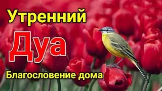 утренний дуа. дуа каждое утро