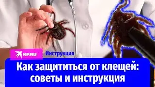 Инструкция и советы, что делать при укусе клеща