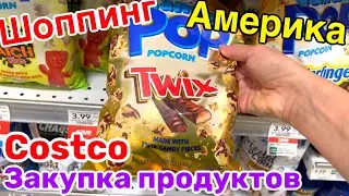 США Шоппинг в Publix и Costco Закупка продуктов Семейный Влог Большая семья Big family in USA VLOG