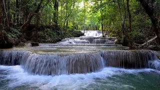 Waterfall Gentle Stream Sound in forest 24/7. Waterfall Sounds, Flowing Water, White Noise for Sleep