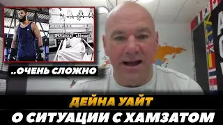 Дана Уайт о ситуации с Хамзатом Чимаевым / Реакция Дейны Уайта /Уиттакер - Алискеров | FightSpaceMMA