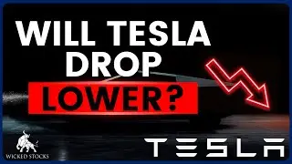 Tesla Stock Price Analysis | Top Levels To Watch for Friday, August 30th, 2024