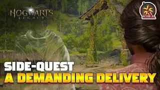 A DEMANDING DELIVERY | HOGWARTS LEGACY SIDE-QUEST