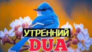 Утренний дуа. Чтобы благословить дом. Слушай каждый день